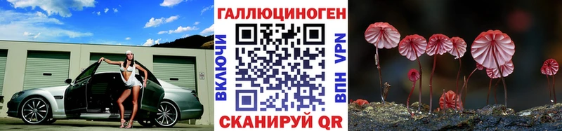 Купить  Полесск  Псилоцибиновые грибы Cubensis 